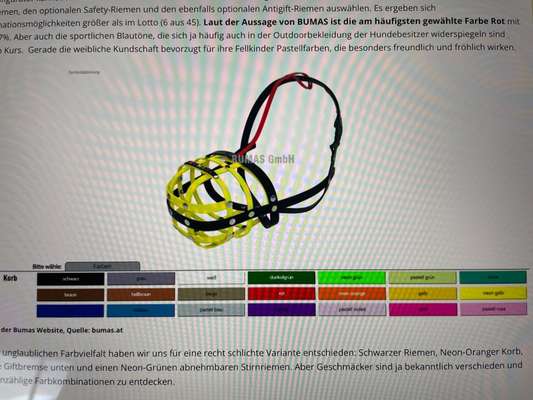 Windhunde - Treffen der besonderen Schönheiten
HERZLICH WILLKOMMEN-Beitrag-Bild