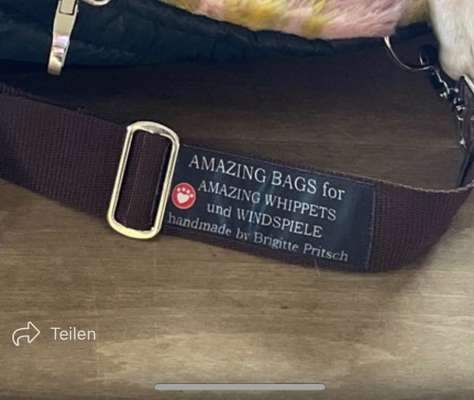 Windhunde - Treffen der besonderen Schönheiten
HERZLICH WILLKOMMEN-Beitrag-Bild