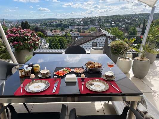Windhunde - Treffen der besonderen Schönheiten
HERZLICH WILLKOMMEN-Beitrag-Bild