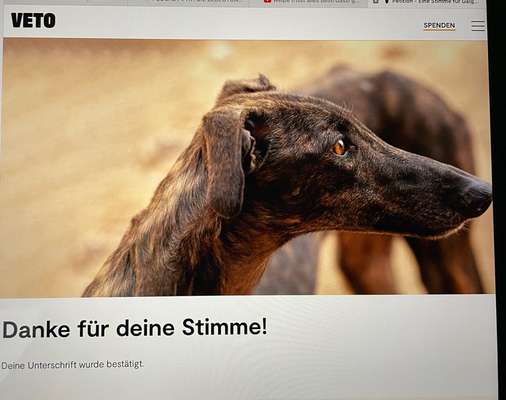 Windhunde - Treffen der besonderen Schönheiten
HERZLICH WILLKOMMEN-Beitrag-Bild