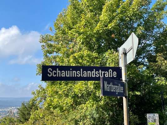 Windhunde - Treffen der besonderen Schönheiten
HERZLICH WILLKOMMEN-Beitrag-Bild