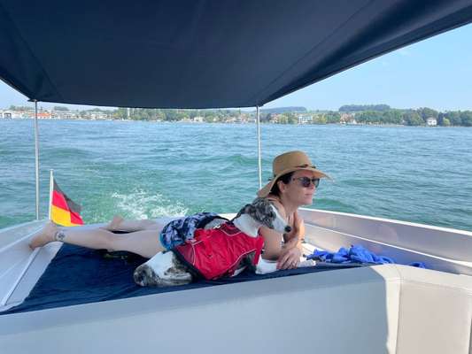 Windhunde - Treffen der besonderen Schönheiten
HERZLICH WILLKOMMEN-Beitrag-Bild