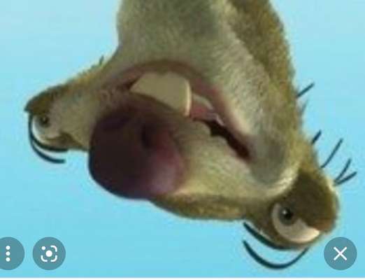 Windhunde - Treffen der besonderen Schönheiten
HERZLICH WILLKOMMEN-Beitrag-Bild