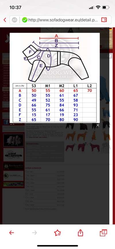 Windhunde - Treffen der besonderen Schönheiten
HERZLICH WILLKOMMEN-Beitrag-Bild