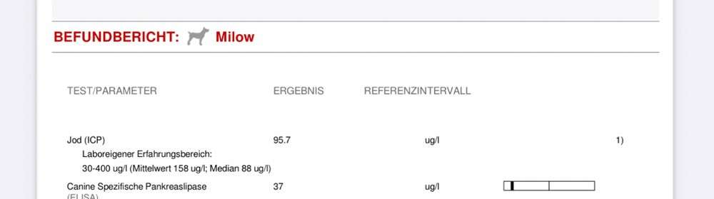 Windhunde - Treffen der besonderen Schönheiten
HERZLICH WILLKOMMEN-Beitrag-Bild