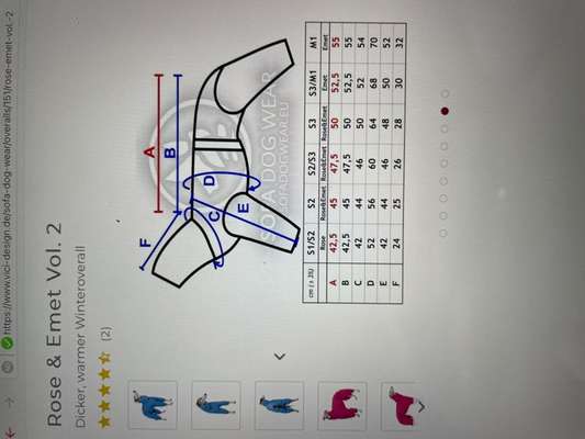 Windhunde - Treffen der besonderen Schönheiten
HERZLICH WILLKOMMEN-Beitrag-Bild