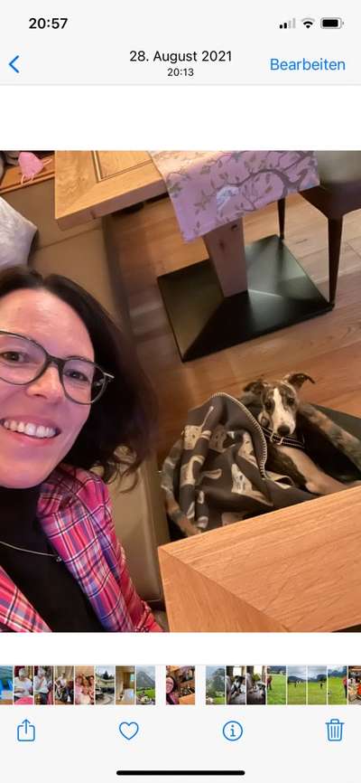 Windhunde - Treffen der besonderen Schönheiten
HERZLICH WILLKOMMEN-Beitrag-Bild