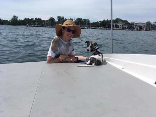 Windhunde - Treffen der besonderen Schönheiten
HERZLICH WILLKOMMEN-Beitrag-Bild