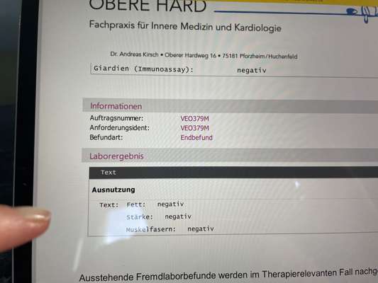 Windhunde - Treffen der besonderen Schönheiten
HERZLICH WILLKOMMEN-Beitrag-Bild