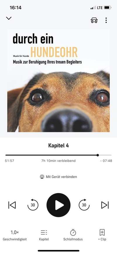 Windhunde - Treffen der besonderen Schönheiten
HERZLICH WILLKOMMEN-Beitrag-Bild