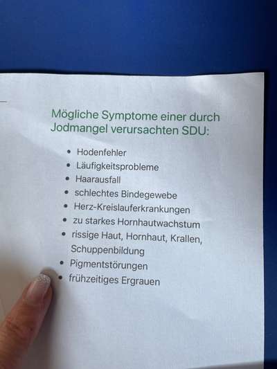 Windhunde - Treffen der besonderen Schönheiten
HERZLICH WILLKOMMEN-Beitrag-Bild