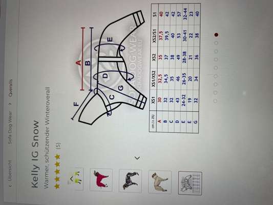 Windhunde - Treffen der besonderen Schönheiten
HERZLICH WILLKOMMEN-Beitrag-Bild