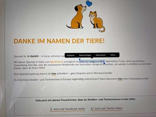 Windhunde - Treffen der besonderen Schönheiten
HERZLICH WILLKOMMEN-Beitrag-Bild