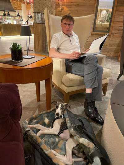 Windhunde - Treffen der besonderen Schönheiten
HERZLICH WILLKOMMEN-Beitrag-Bild