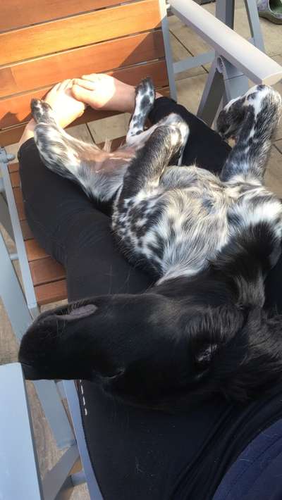 CHALLENGE NR. 34 - Liege-/Schlafpositionen-Beitrag-Bild