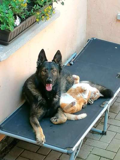 Fotochallenge liebespaare-Beitrag-Bild