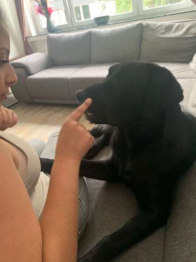 Freude und lachen-Beitrag-Bild