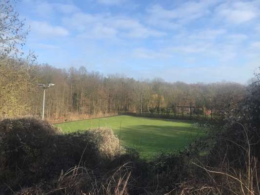 Hundeauslaufgebiet-Langst Rodelberg-Bild