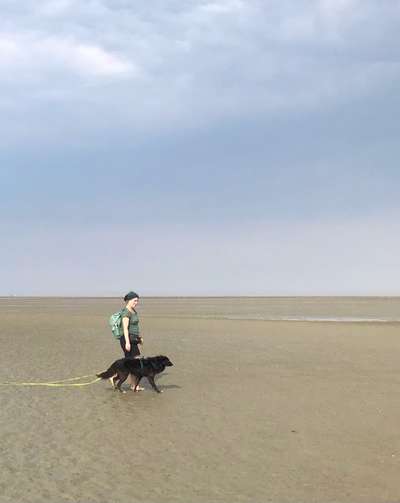 Dogorama Photo Challenge - Tierischer Urlaub-Beitrag-Bild