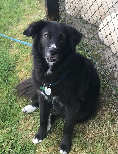 Fotochallenge Nr. 56 - geliebte Senioren-Beitrag-Bild