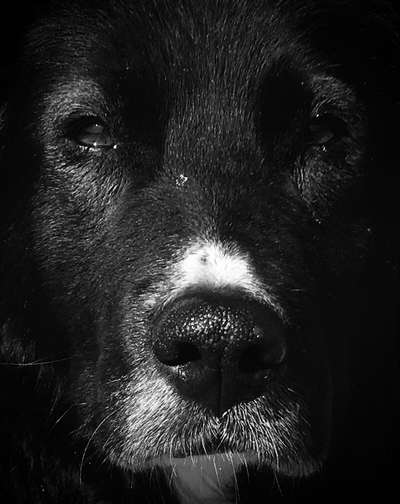 Foto-Challenge 76: Foto in Schwarz-Weiss-Beitrag-Bild