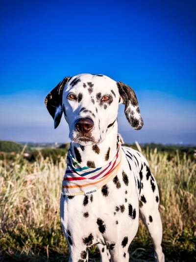 32. Farben Challenge  ** ( BUNTE ) STREIFEN **-Beitrag-Bild