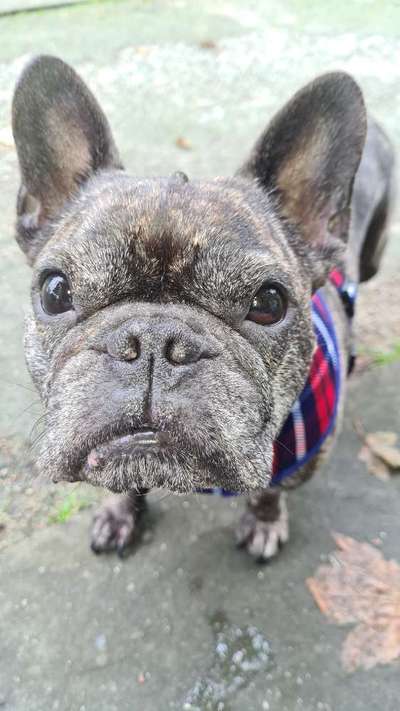 Fotochallange Nr. 57     PORTRÄT.   Beendet!!!!!!!!-Beitrag-Bild