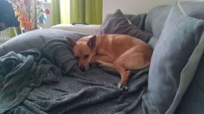 Vorurteile-Beitrag-Bild