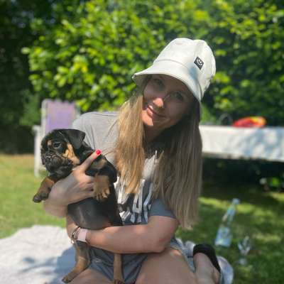 Hundetreffen-Welpentreff zum Spielen