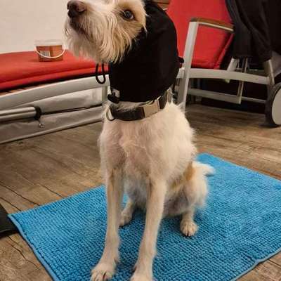 Wie habt ihr den Silvesterabend verbracht?-Beitrag-Bild