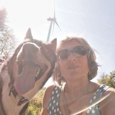 Hundetreffen-Gassirunde