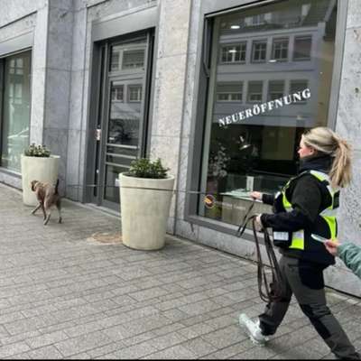 Giftköder-Dienstleistungen - Kompetenz - Netzwerk-Bild