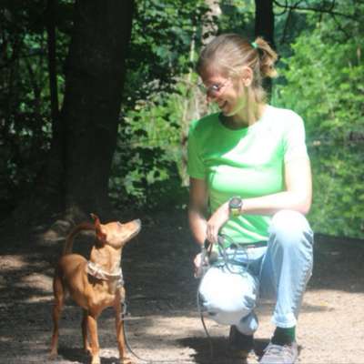 Hundetreffen-Spürnasen-Treff 🧡-Bild
