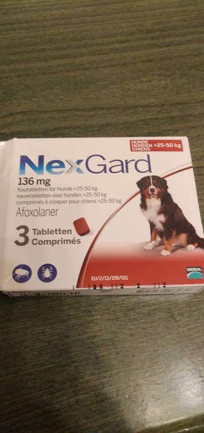 Bravecto-Beitrag-Bild