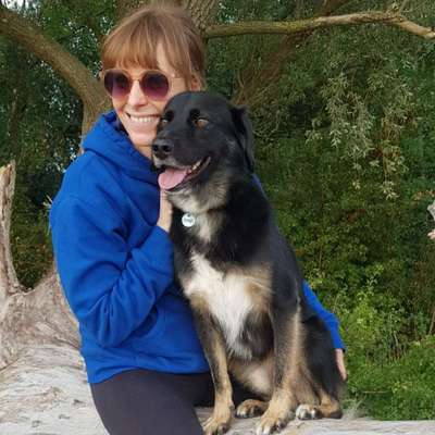 Hundetreffen-Spaziergänge / Dogsharing-Bild