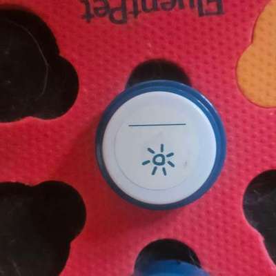 aktuelles Foto Gruppe Unsere Hunde lernen sprechen - Talking Buttons (FluentPet usw.)