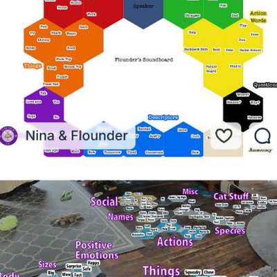 aktuelles Foto Gruppe Unsere Hunde lernen sprechen - Talking Buttons (FluentPet usw.)