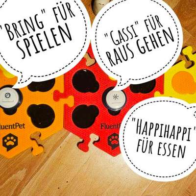 aktuelles Foto Gruppe Unsere Hunde lernen sprechen - Talking Buttons (FluentPet usw.)