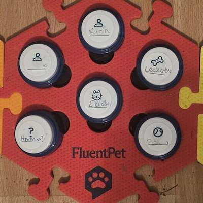 Titelbild Gruppe Unsere Hunde lernen sprechen - Talking Buttons (FluentPet usw.)