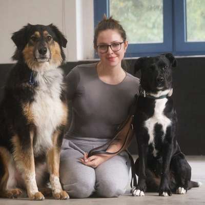 Hundetreffen-Übungskund:innen gesucht-Bild