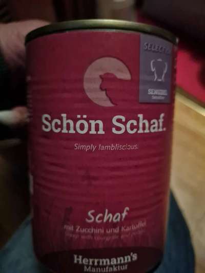 Hochwertiges / Bedarfsgerechtes Nassfutter (ohne Barfen), welches nur?-Beitrag-Bild