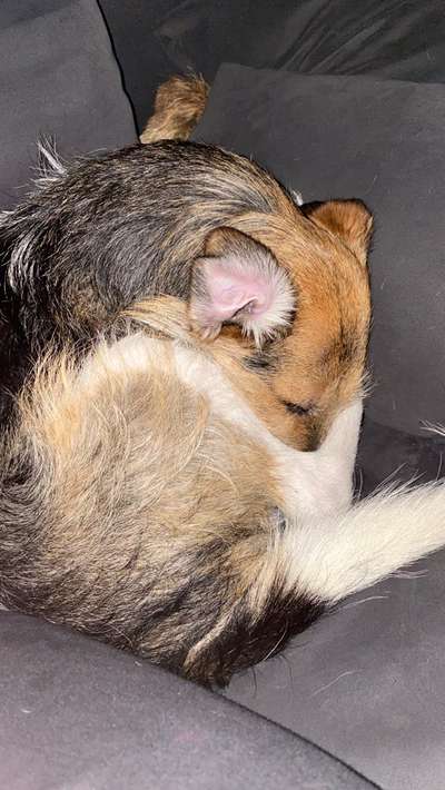 Die unbequemsten und lustigsten Schlafpositionen-Beitrag-Bild