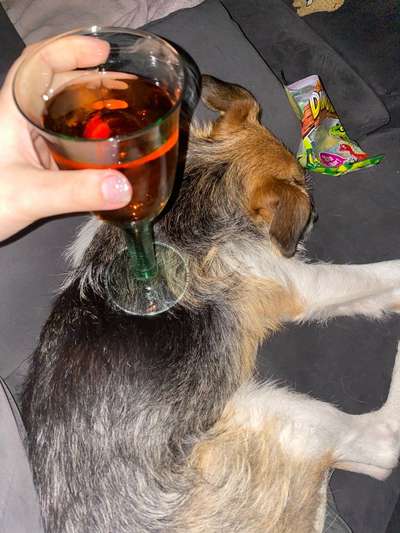 Die unbequemsten und lustigsten Schlafpositionen-Beitrag-Bild