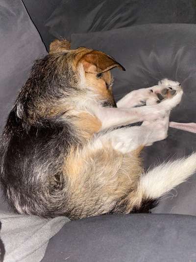 Die unbequemsten und lustigsten Schlafpositionen-Beitrag-Bild