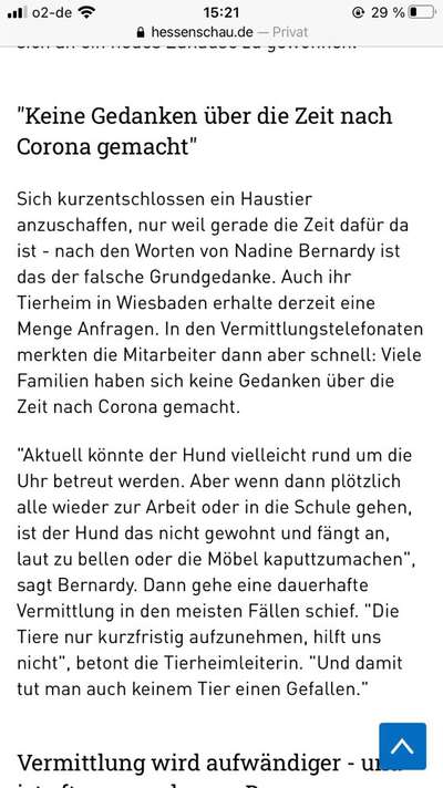 Neuer Corona Trend: Hundekauf/Verleih?!-Beitrag-Bild