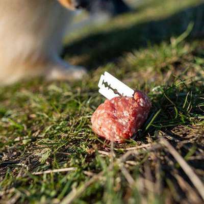 Giftköder-Rasierklingen in Wurst-Bild