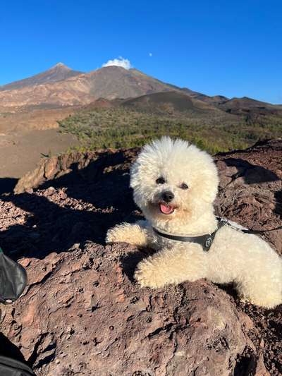 Fotochallenge Nr 107-Beitrag-Bild