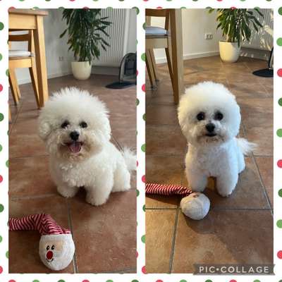 Vor dem Friseur - nach dem Friseur-Beitrag-Bild