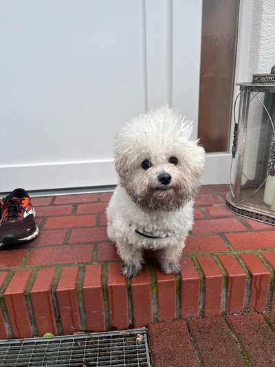 Zeigt mir doch mal eure Dreckspätze-Beitrag-Bild