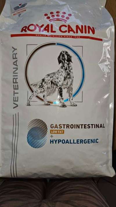 Hypoallergenes Futter-Beitrag-Bild